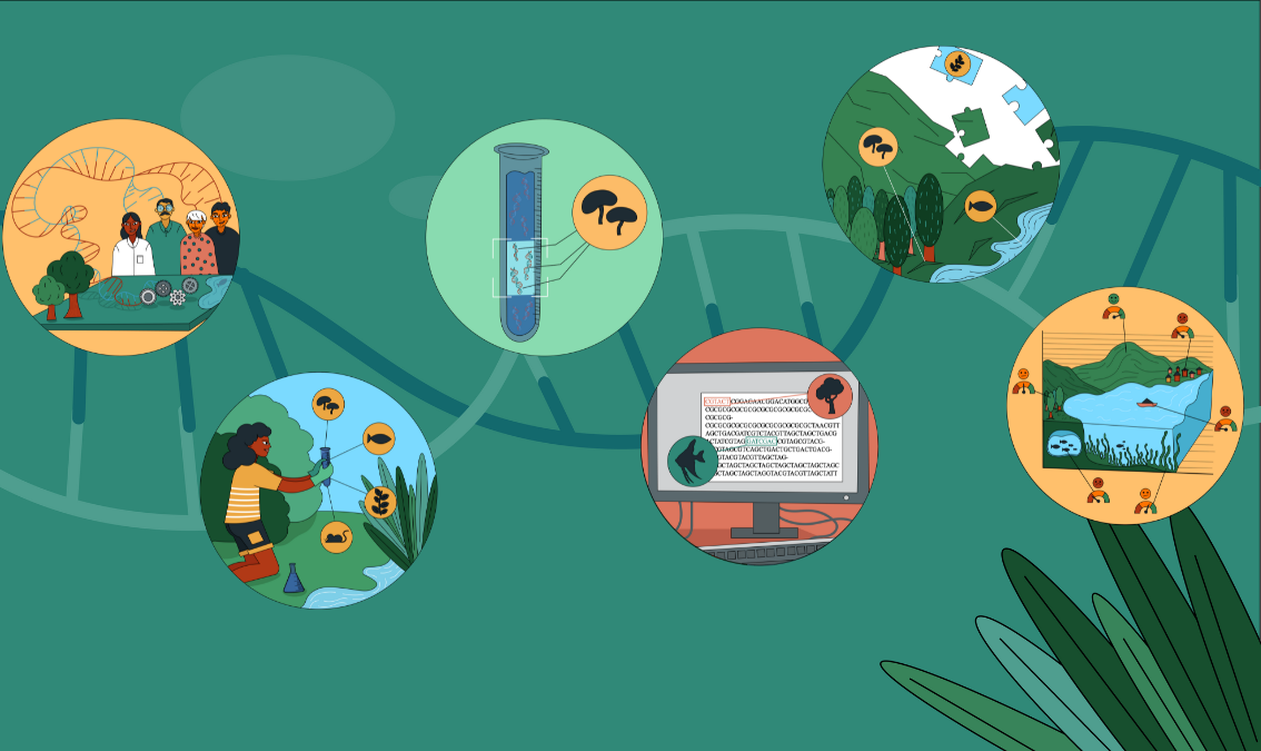 Environmental DNA: Sensing the Diversity of Life and Assessing Ecosystem Health eDNA-01x